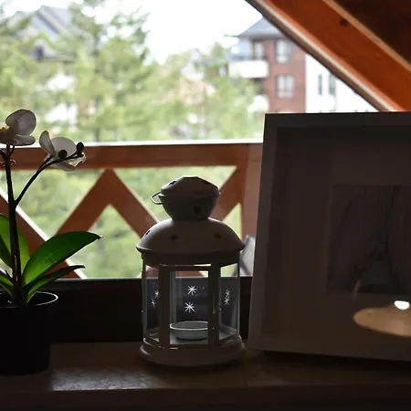 Apartment Silver *