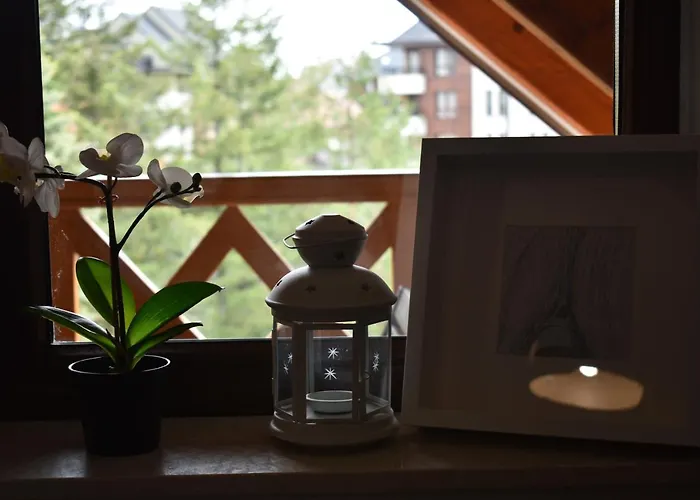 Апартаменты Silver *